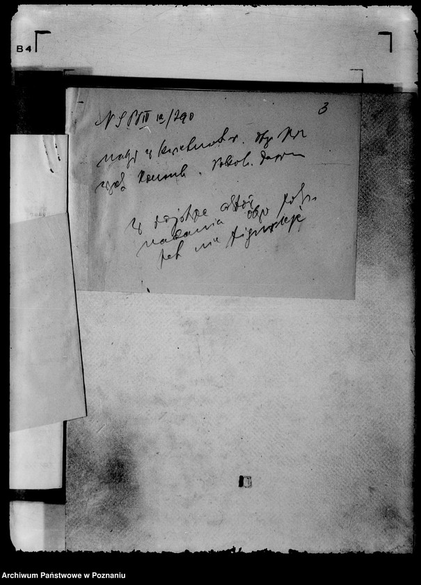 Obraz 7 z jednostki "/Sprawy obywatelstwa/"