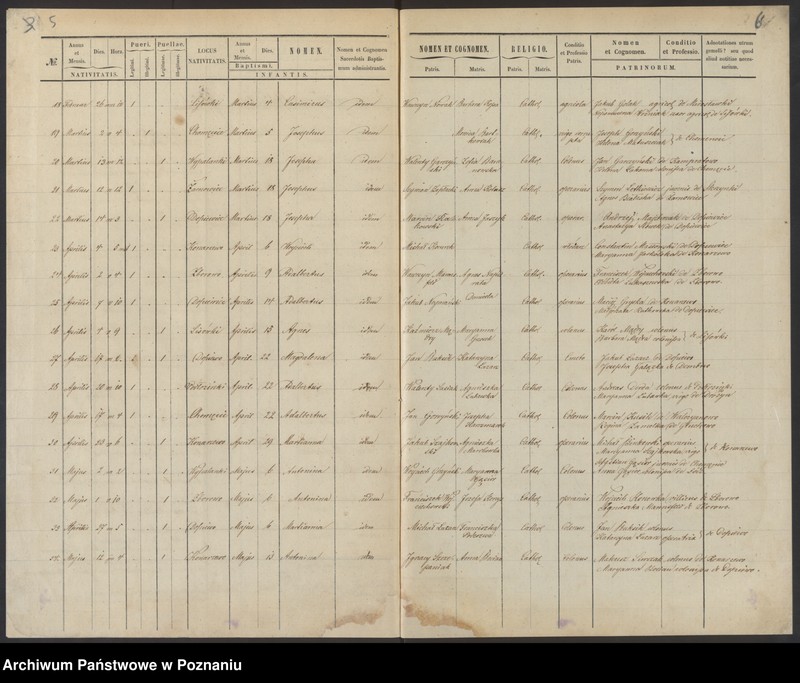 Obraz 6 z jednostki "Duplikat baptisatorum, copulatorum, mortuorum"
