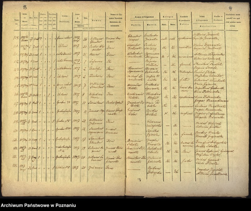 Obraz 9 z jednostki "Księga urodzin"