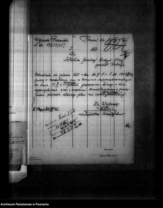 Obraz 14 z jednostki "Las gromady Żodyń Nowy powiat wolsztyński"