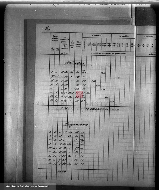 Obraz 20 z jednostki "Plan urządzenia gospodarstwa leśnego dla lasu majętności Śródka w powiecie międzychodzkim 1930-1940"