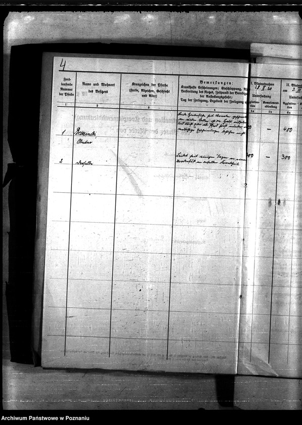 Obraz 8 z jednostki "Nosacizna - Żnin"