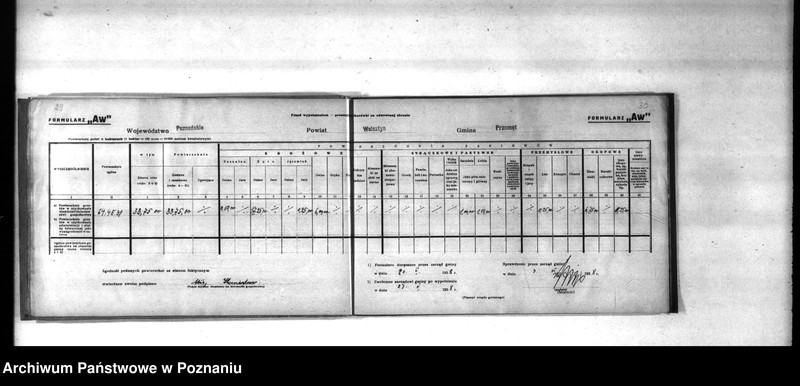 Obraz 20 z jednostki "Polnische Bodenbenutzugserhebung. Kreis Wollsbein (Wolsztyn)"