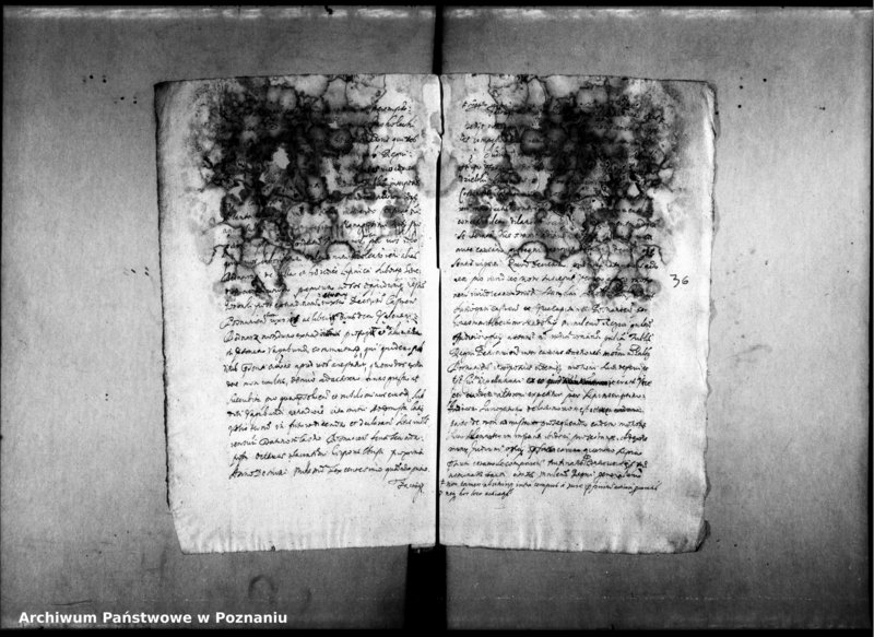 Obraz 18 z jednostki "Decreta officii [inducta]"