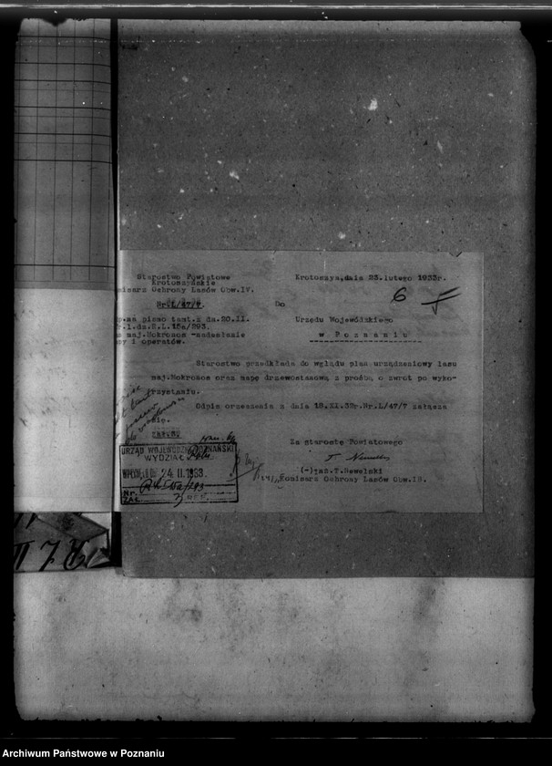 Obraz 10 z jednostki "Nadzór nad gospodarką leśną majętności Mokronos powiat krotoszyński"