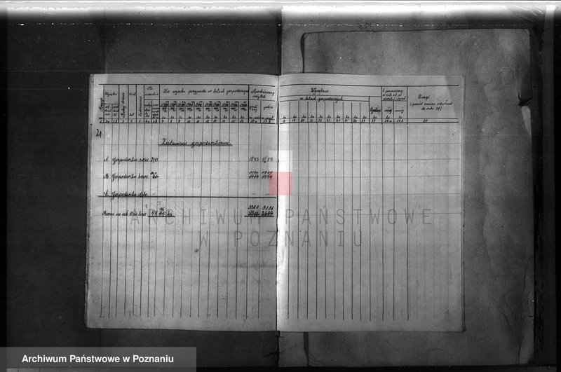 Obraz 19 z jednostki "Majętność leśna Ławica w powiecie międzychodzkim /plan urządzenia gospodarstwa leśnego/"