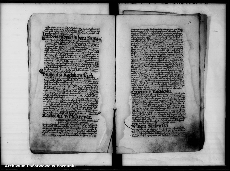 Obraz 14 z jednostki "Inscriptiones, relationes [inducta]"