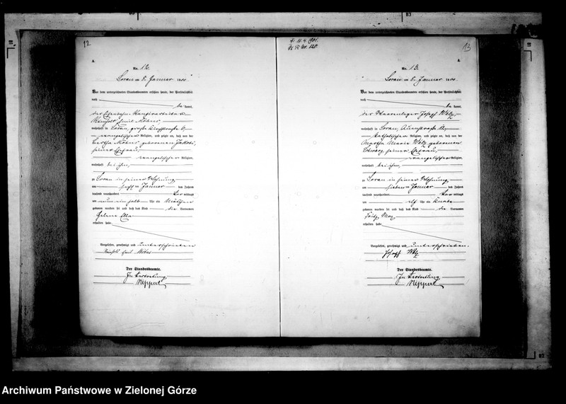 Obraz 11 z jednostki "[Księga akt urodzenia rok 1900-Żary miasto]"