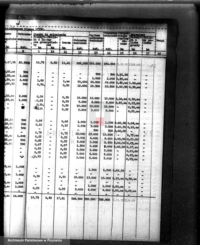 Obraz 14 z jednostki "Zalesianie nieużytków w powiecie czarnkowskim pod nadzorem Wielkopolskiej Izby Rolniczej"