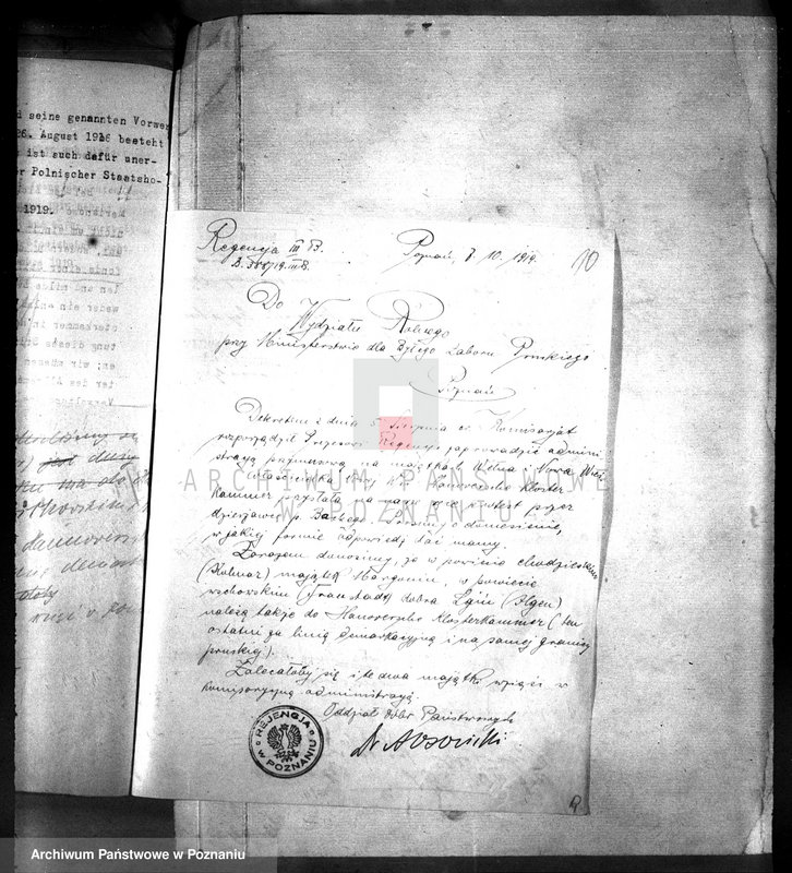 Obraz 14 z jednostki "Dzierżawy majętności Nowa Wieś"