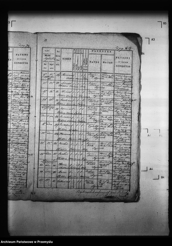 Obraz 7 z jednostki "[Kopie ksiąg metrykalnych parafii Zawadów (dekanat Niemirów)]"