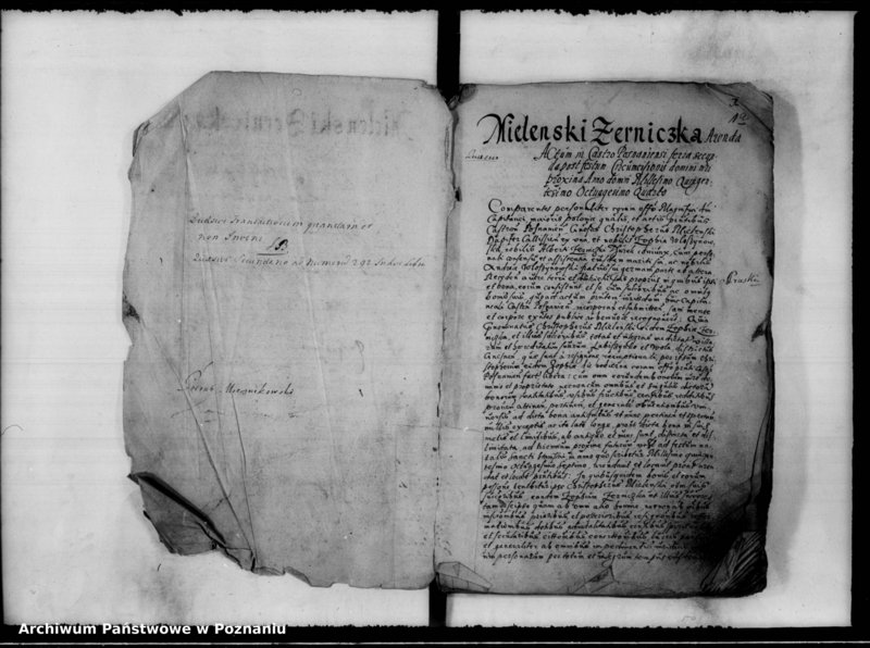 Obraz 4 z jednostki "Inscriptiones, relationes [inducta]"