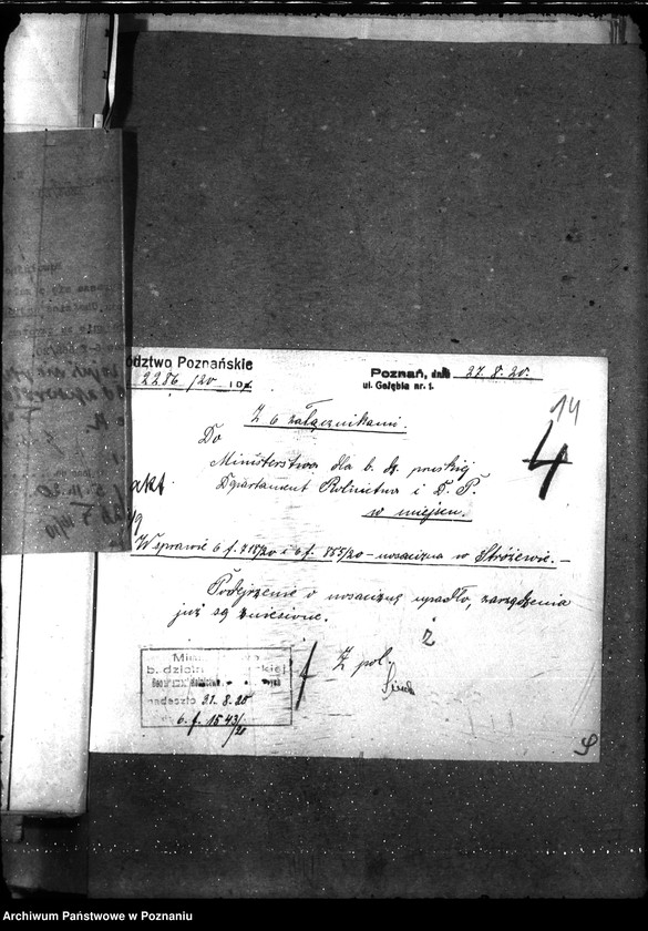 Obraz 19 z jednostki "Nosacizna - Chodzież"