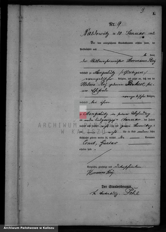 image.from.unit.number "[Księga urodzeń]"