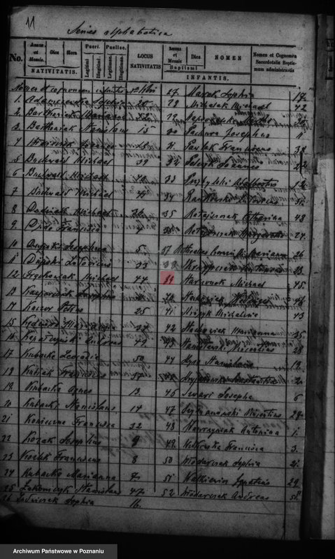 Obraz 14 z jednostki "Duplikat baptisatorum, copulatorum, mortuorum"