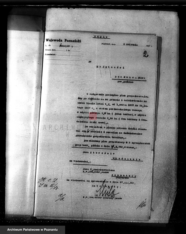 Obraz 6 z jednostki "Majętność Borówko Stare /nadzór nad gospodarką leśną/"