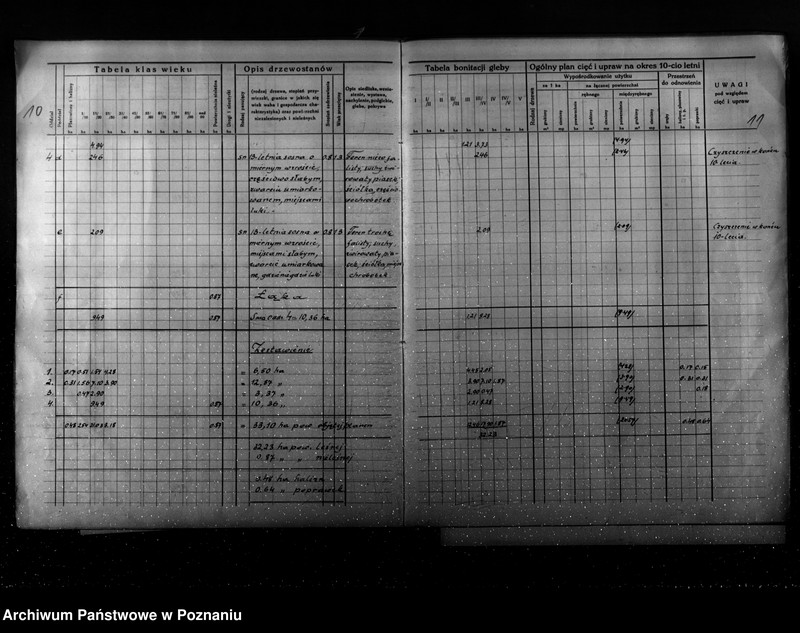 Obraz 11 z jednostki "Program urządzenia gospodarstwa leśnego dla lasu Ernesta Coelle w gminie Kołata powiat poznański 1935-1945"