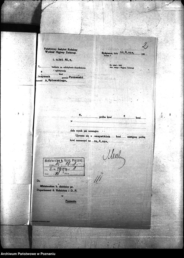 Obraz 6 z jednostki "Nosacizna - Poznań-Zachód"