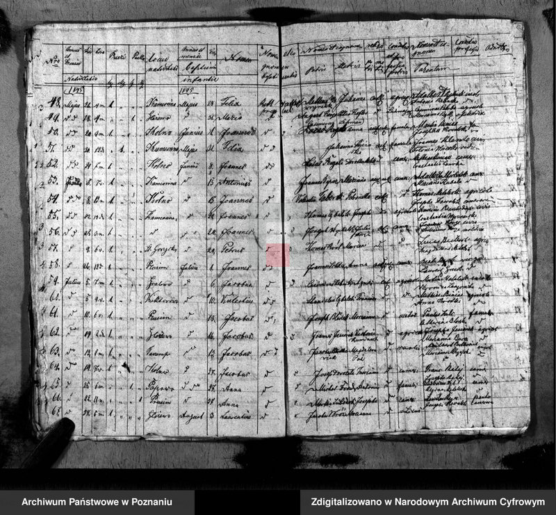 image.from.unit.number "Duplikat baptisatorum, copulatorum, mortuorum"