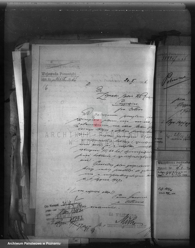 image.from.unit.number "Majętność Przygodzice powiat ostrowski /nadzór nad gospodarką leśną/"