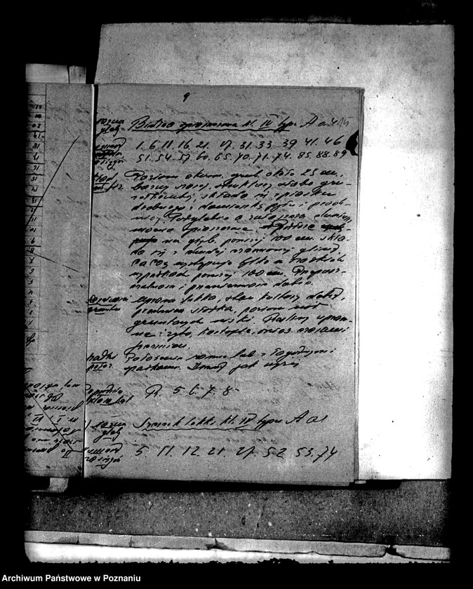 Obraz 19 z jednostki "Majątek Prusim powiatu międzychodzkiego oszacowanie majątku"