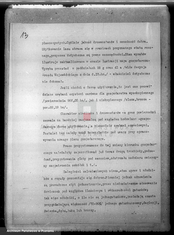 Obraz 18 z jednostki "/Majętność leśna Wąsowo w powiecie nowotomyskim/"