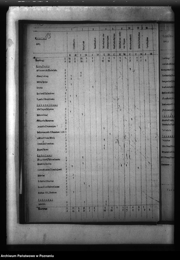 Obraz 17 z jednostki "Meldunki o chorobach zakaźnych w Kraju Warty"