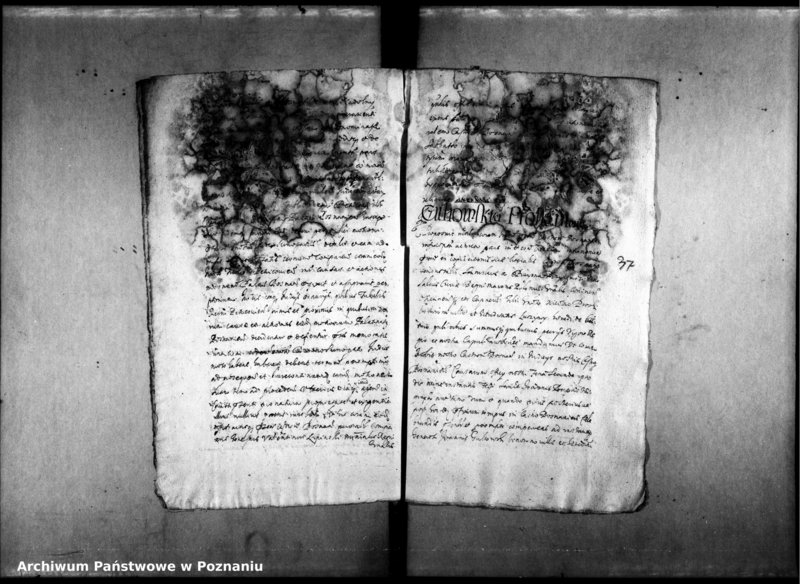 Obraz 19 z jednostki "Decreta officii [inducta]"