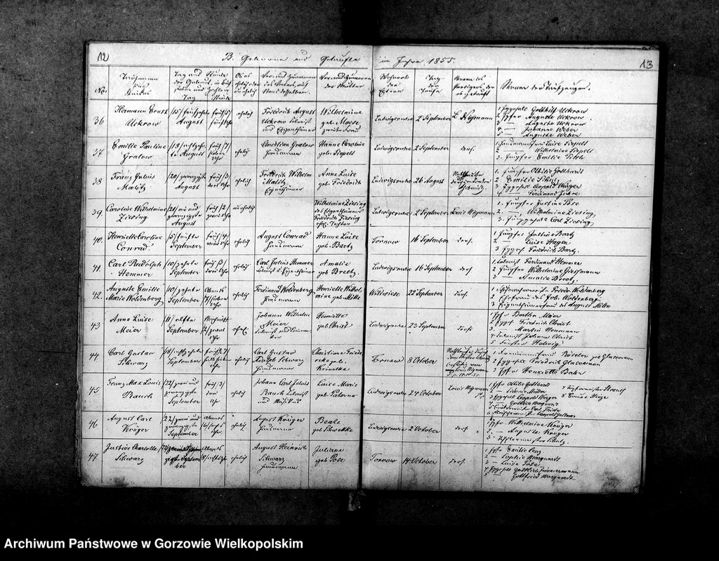 image.from.unit.number "Duplikate der Kirchenbücher von Tornow: Ludwigsruh (Lubiszyn), Wildwiese (Dzikowo), Splinterfelde (Tarnówka), Tornow (Tarnów), Diedersdorf, Neu Diedersdorf (Nowe Dzieduszyce), Charlottenhof (Sosny)"