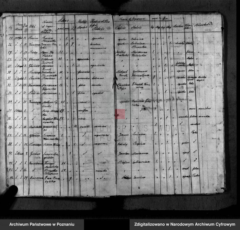 Obraz 15 z jednostki "Duplikat baptisatorum, copulatorum, mortuorum"