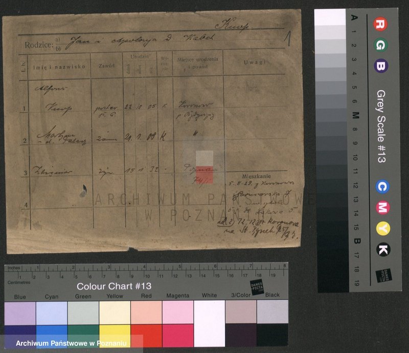 Obraz 1 z jednostki "Knop - Knytel"