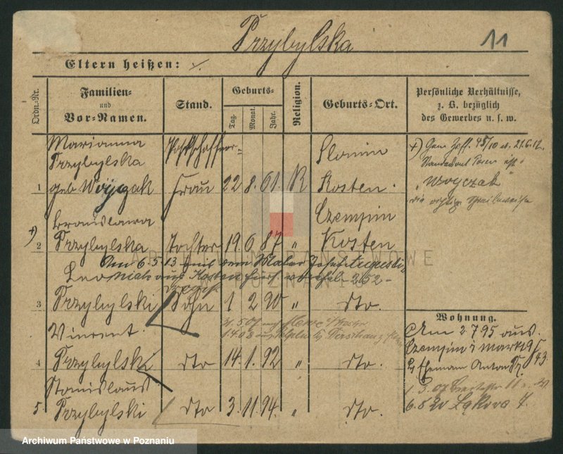 Obraz 13 z jednostki "Przybylski (żonaci - samotni mężczyźni do Gustaw)"