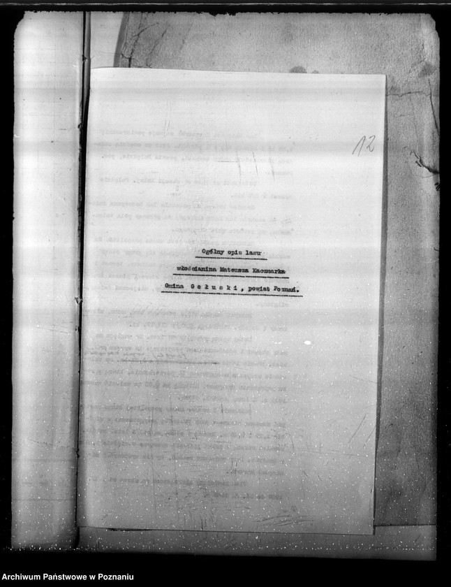 Obraz 15 z jednostki "Program urządzenia gospodarstwa leśnego lasu St. A i M Kaczmarków w gminie Gołuski powiat poznański 1930-1940"