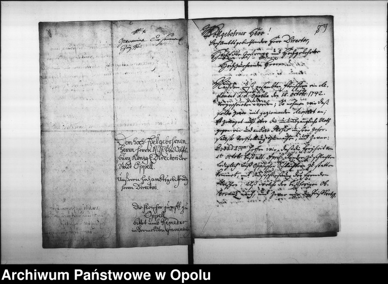 Obraz 10 z jednostki "Acta des Magistrats zu Oppeln betreffend das hiesige Fleischer-Mittel"