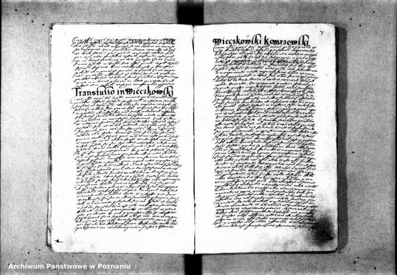 Obraz 11 z jednostki "Inscriptiones [inducta]"