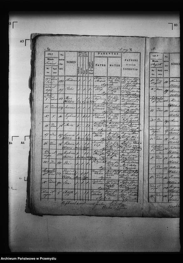 Obraz 18 z jednostki "[Kopie ksiąg metrykalnych parafii Zawadów (dekanat Niemirów)]"