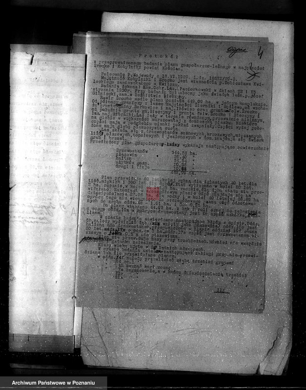 Obraz 8 z jednostki "Nadzór nad gospodarką w lasach majętności Kobylniki powiat kościański"