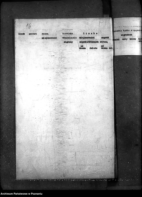 Obraz 20 z jednostki "Sprawy ogólne Wykazy chorób zaraźliwych; [księgosusz, zaraza płucna]"