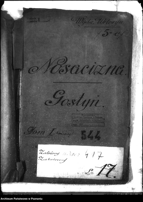 Obraz 4 z jednostki "Nosacizna - Gostyń"