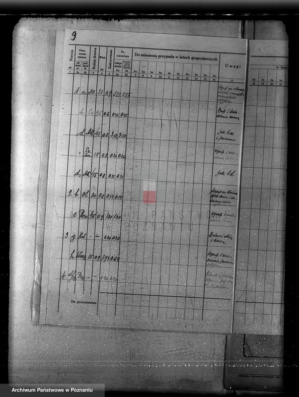 Obraz 13 z jednostki "Plan urządzania gospodarstwa leśnego dla lasu majętności Borówkowo-Stare i Piotrkowice powiat kościański"