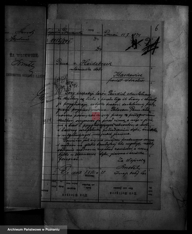 Obraz 11 z jednostki "Nadzór nad gospodarką w lasach majętności Markowice powiat mogileński"