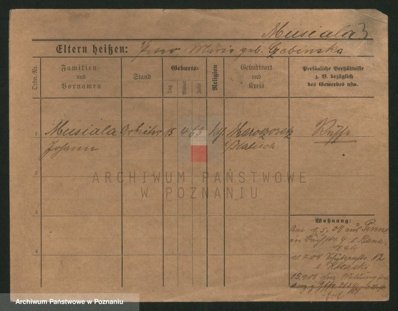 Obraz 3 z jednostki "Musiała - Muskieta"