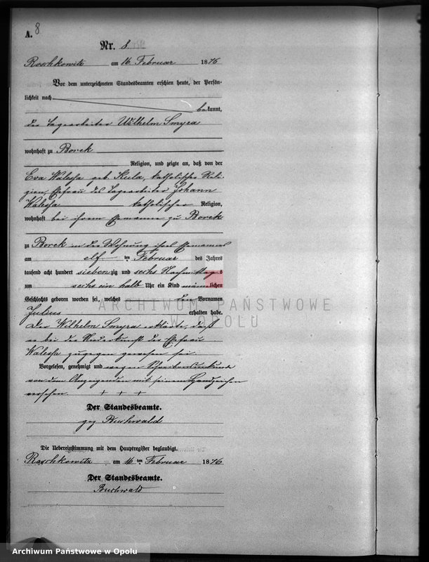 image.from.unit.number "Geburts-Neben-Register Standesamts Roschkowitz pro 1876"