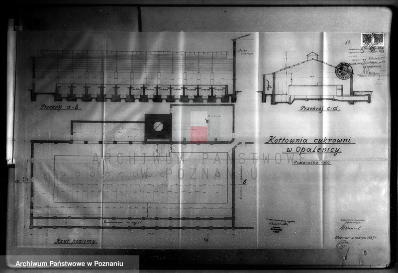 Obraz 16 z jednostki "Cukrownia Opalenica Spółka Akcyjna, pow. N. Tomyśl nr woj. 1595"