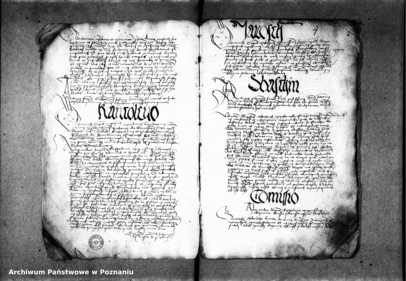 Obraz 9 z jednostki "Inscriptiones, relationes, decreta [inducta]"