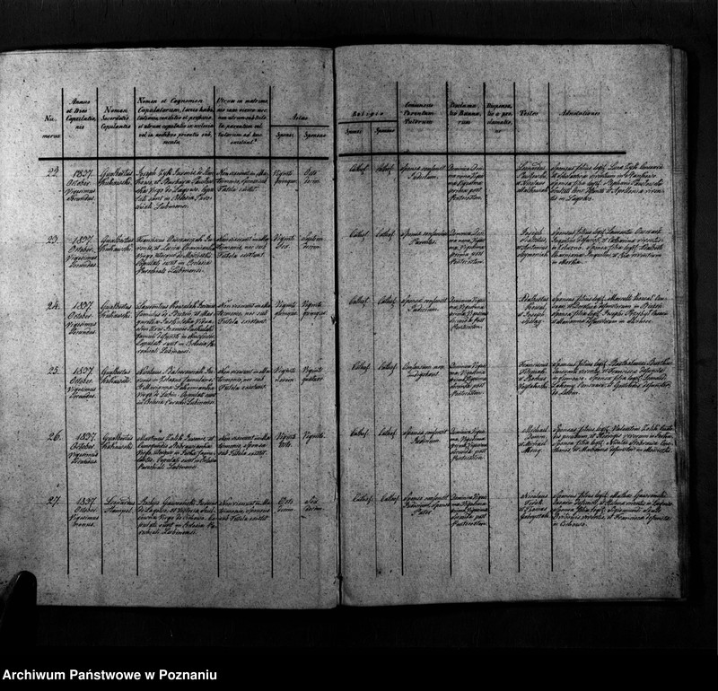 Obraz 7 z jednostki "Duplicatum copulatorum, baptisatorum, mortuorum"