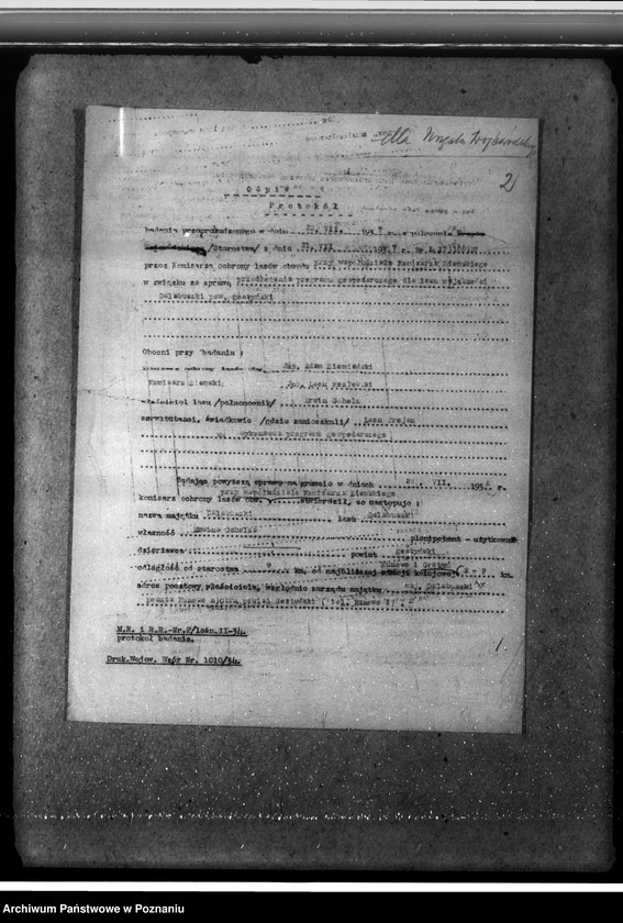 Obraz 6 z jednostki "Las majętności Dalabuszki powiat gostyński"