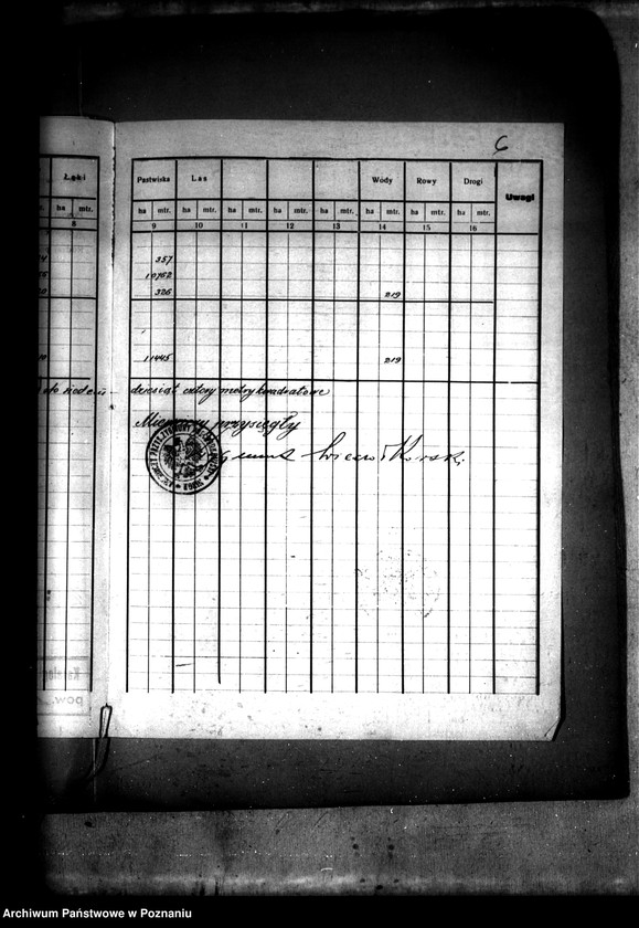 Obraz 10 z jednostki "Rejestr pomiarowy majątku Lisewo A powiatu konińskiego. Obszar scaleniowy Ruda Komorska"