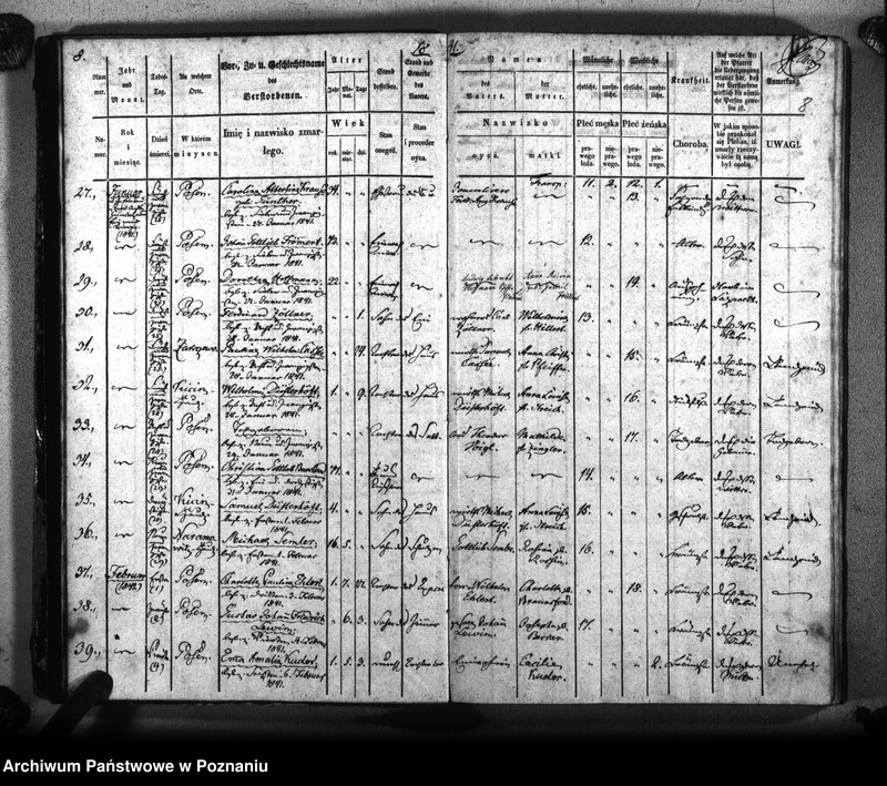 Obraz 11 z jednostki "Sterbenbuch"