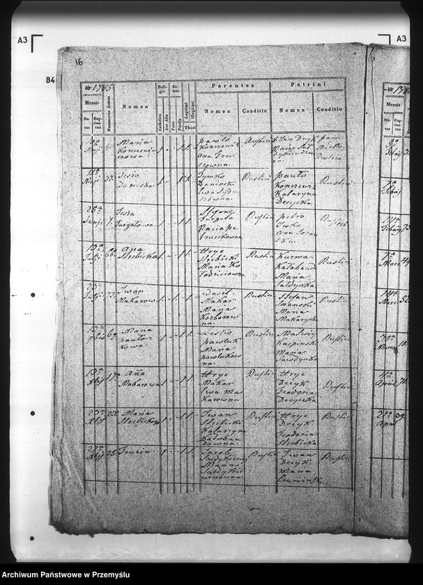 Obraz 20 z jednostki "[Kopie ksiąg metrykalnych parafii Brzegi (dekanat Sambor)]"